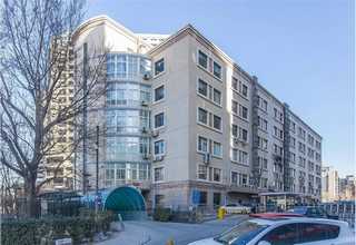 宝山区一级武夷红茶伴手礼